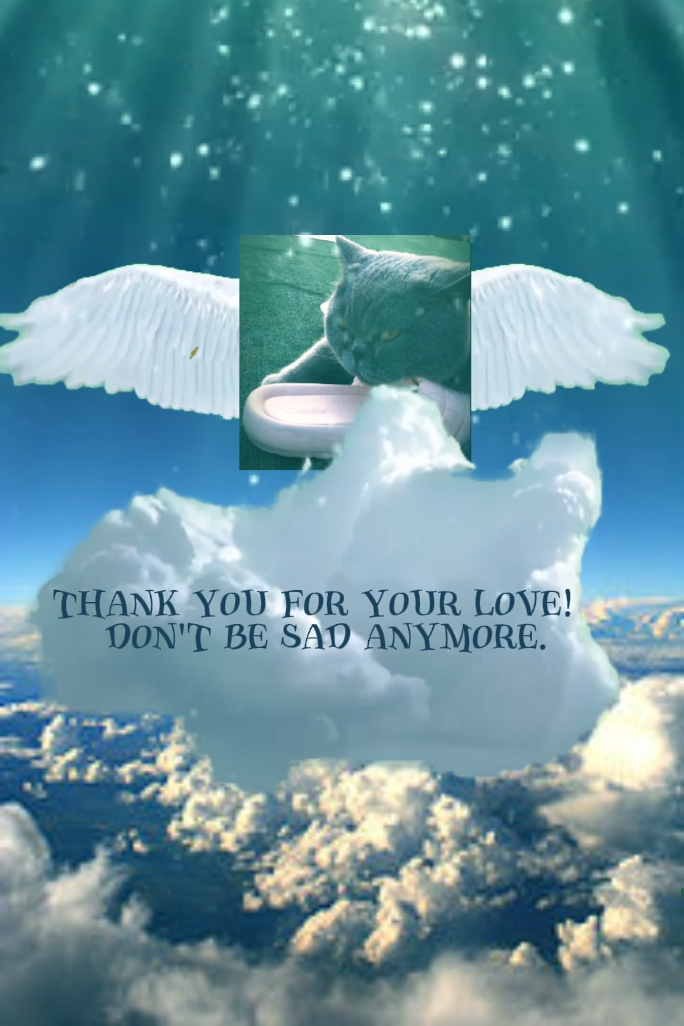 En memoria de los animales