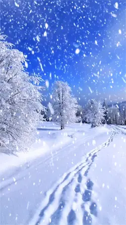 Snowscape