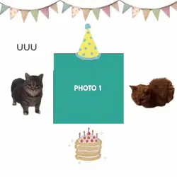Birthday Cat