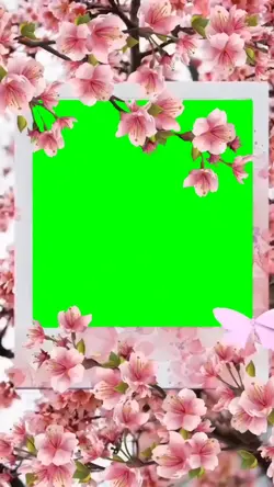 Green Screen Photo
