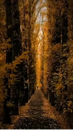 Shekayte  شکایتی