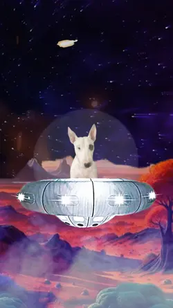 UFO on Alien Planet