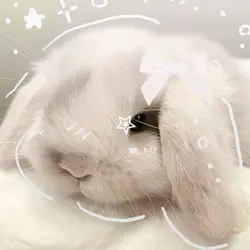 bunny core
