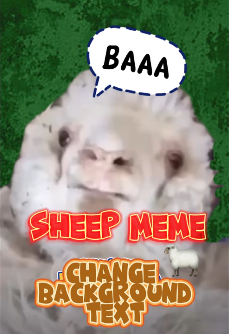Sheep Baaa!🐑