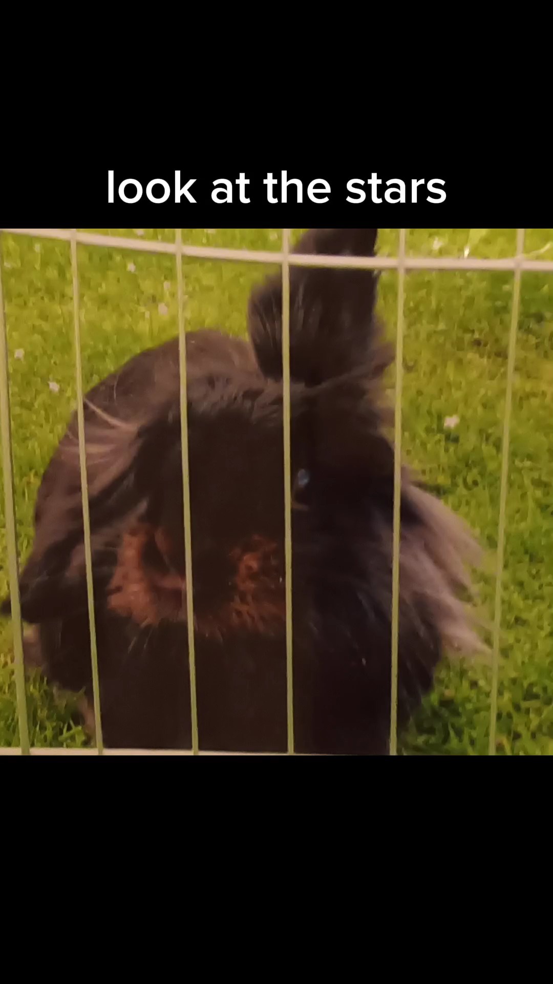 first pic changeable