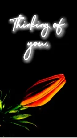 Thinking of You