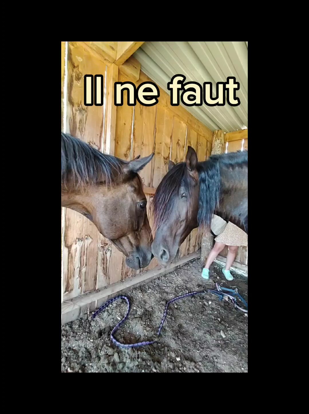 ne pas abandonner 