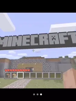 Minecraft 💯