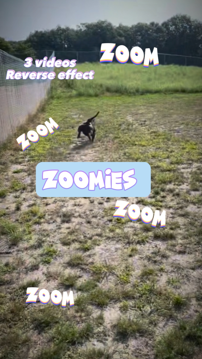 Zoom Zoom Zoom