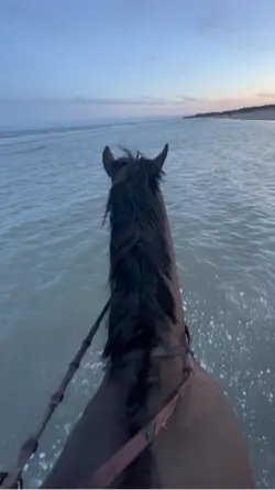 ⚠️FAKE AI GENERATED⚠️