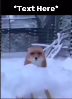 Fox jump meme