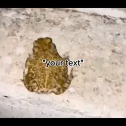 frog meme