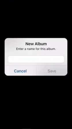 albumπ·