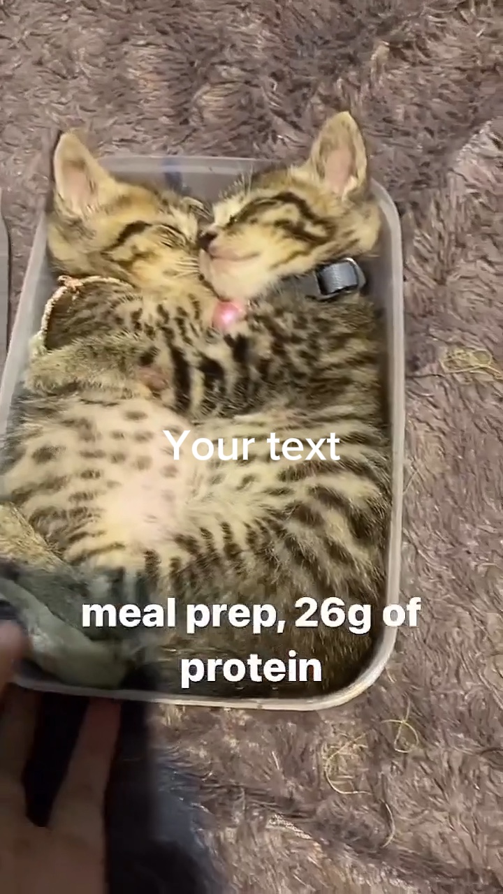 Comida bastante buena 