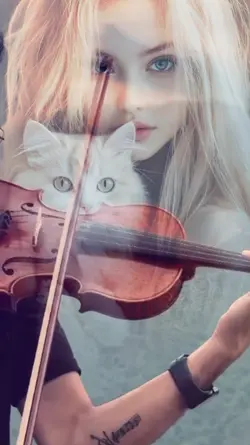 Música de violino 