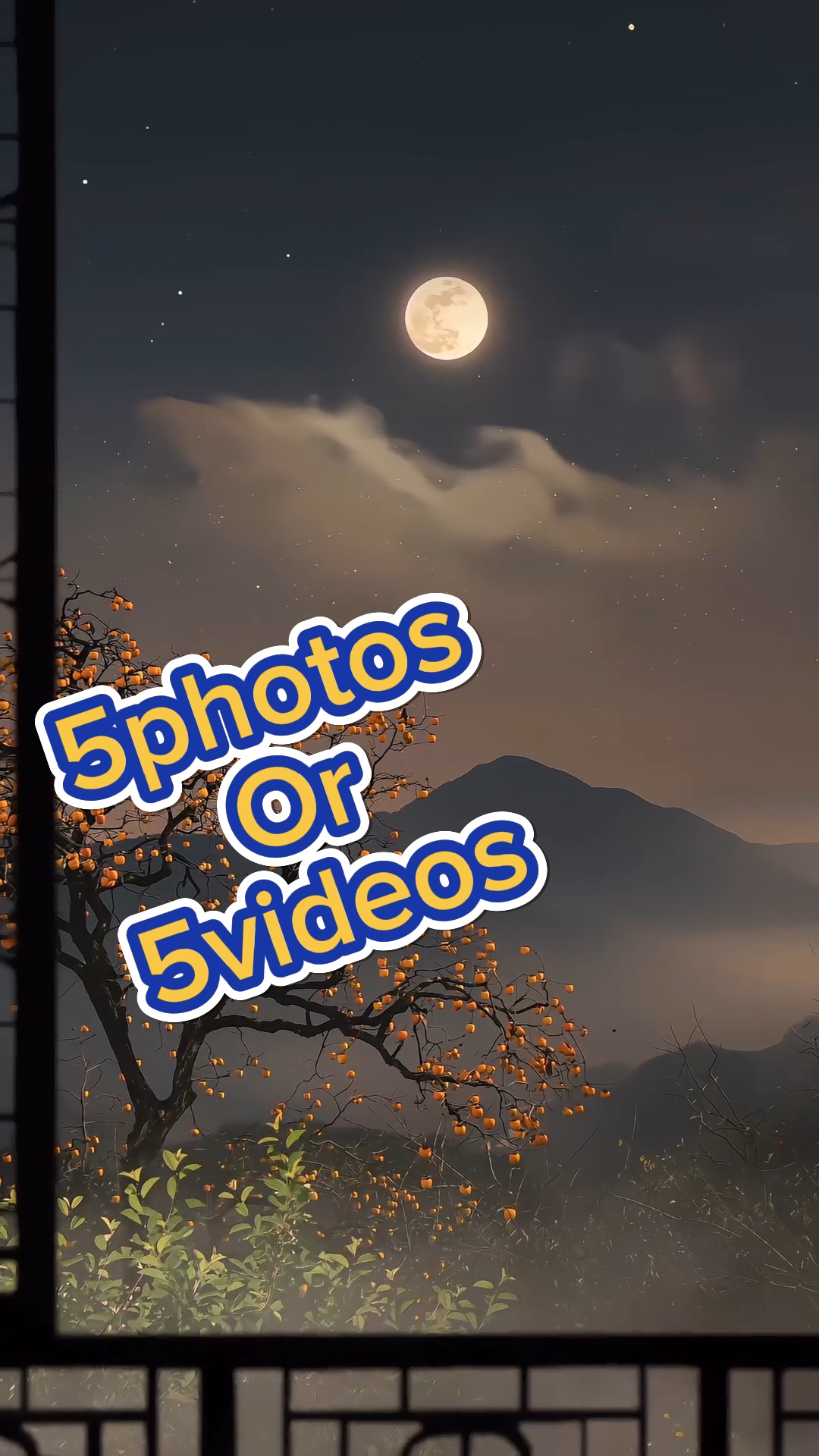 5photos/videos