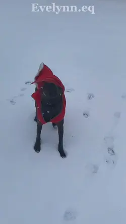 ⚠️NOT REAL⚠️ FAKE AI