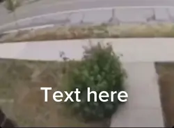 Car crash meme 