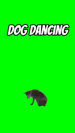 Dog dancing