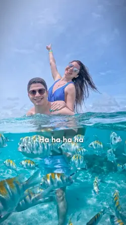 Meme casal
