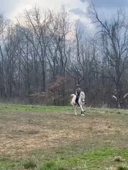 Slowmotion canter