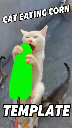 Cat Eating Corn