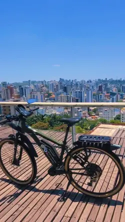 Role e-bike