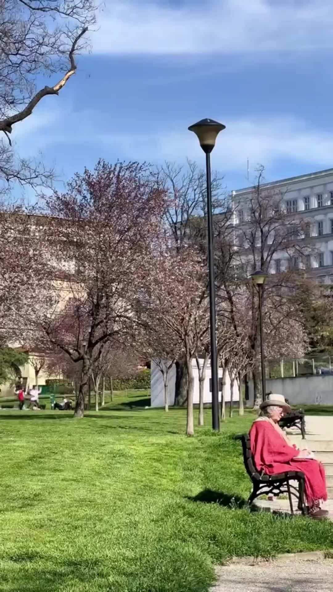 Handübergang 