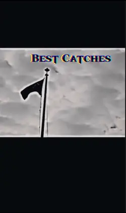 Best Catches #1