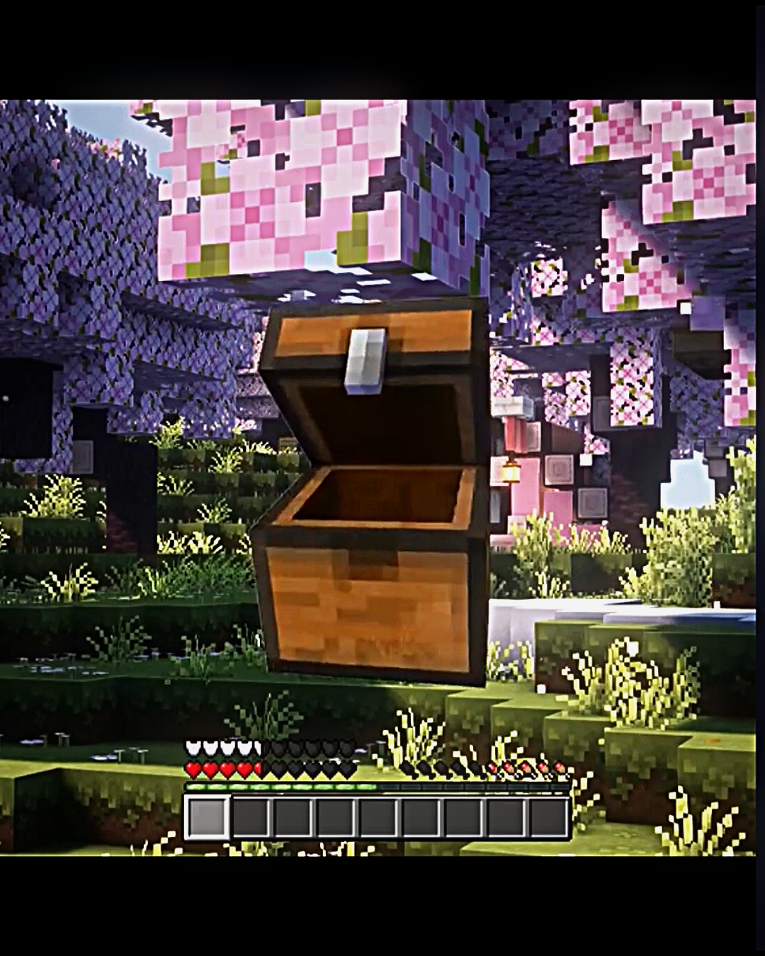 Plantilla de Minecraft 