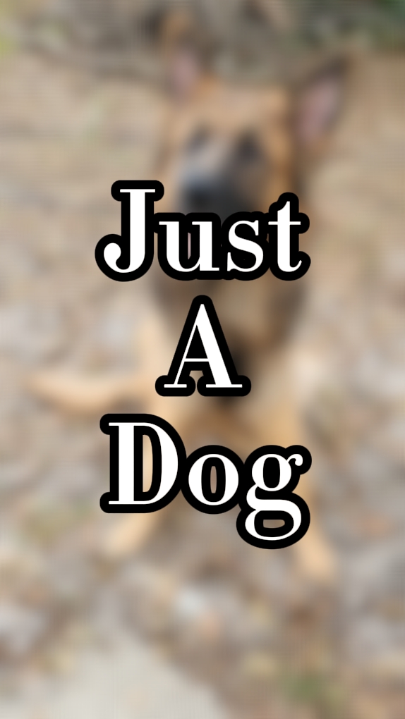 Nur ein Hund