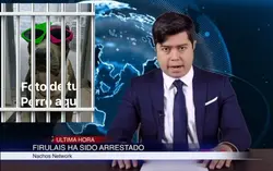 Firulais detenido!