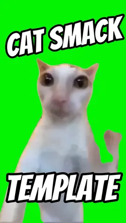 Cat Smack 