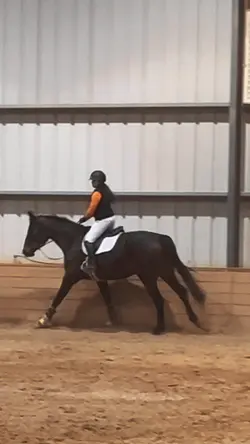 ‼️NOT REAL‼️ | ⚠️FAKE⚠️