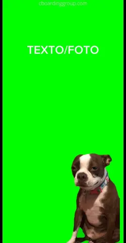 meme Cão chorando