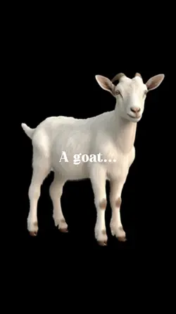 A goat