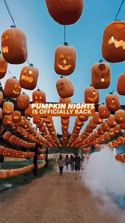 pumpkin night