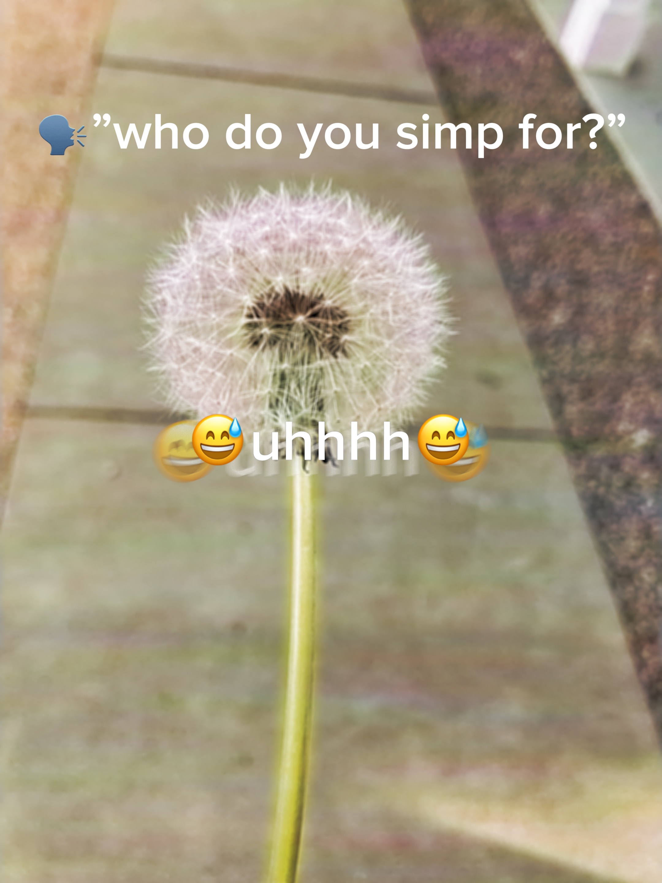Para quem você simp?