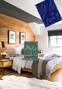 Spider Dave