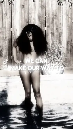 Viral Velocity Trend