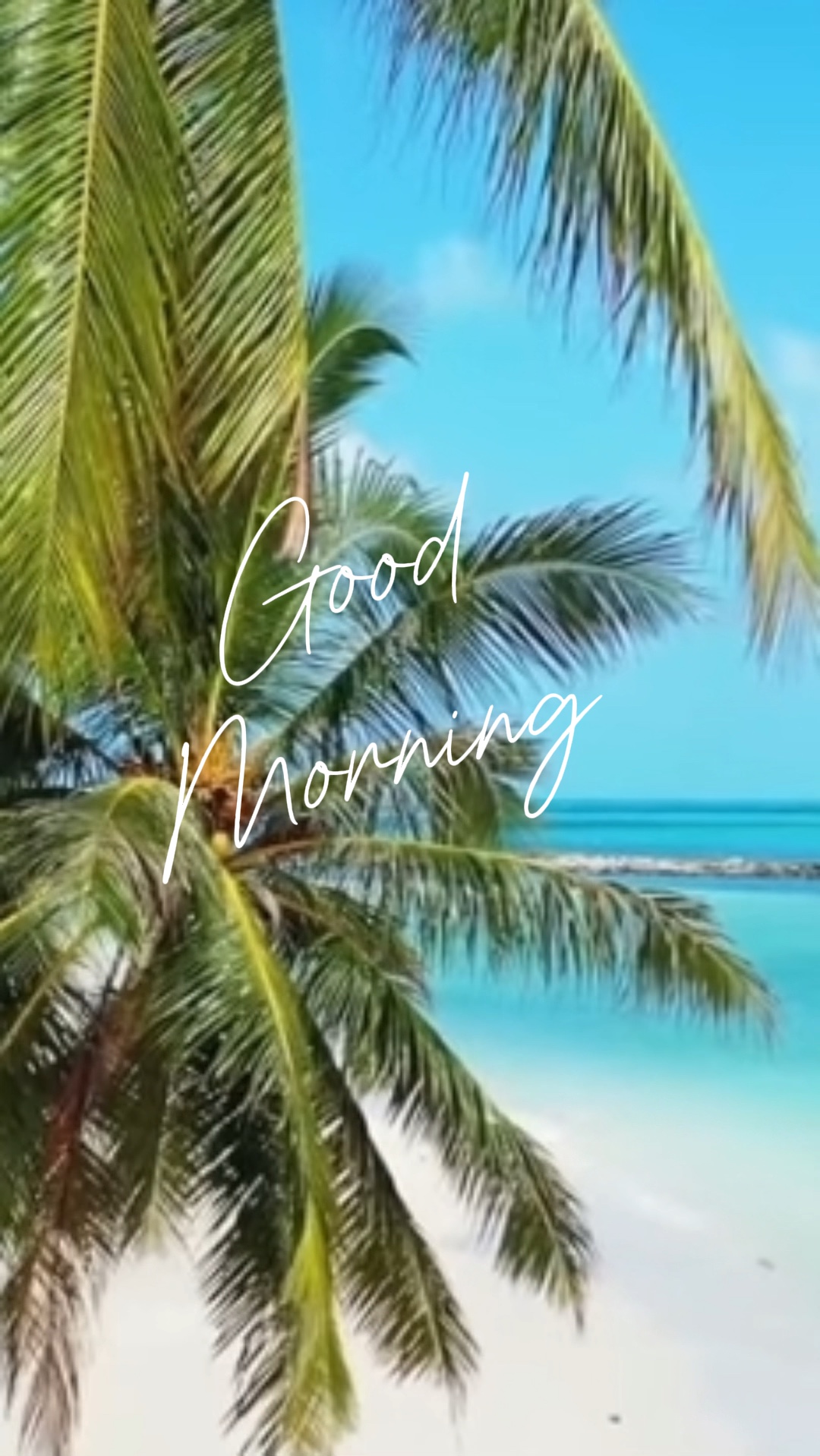 Good morning 