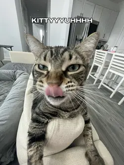 KITTYYYUUHHH