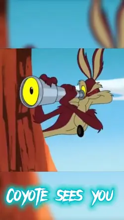 Coyote sees you
