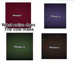 Funny