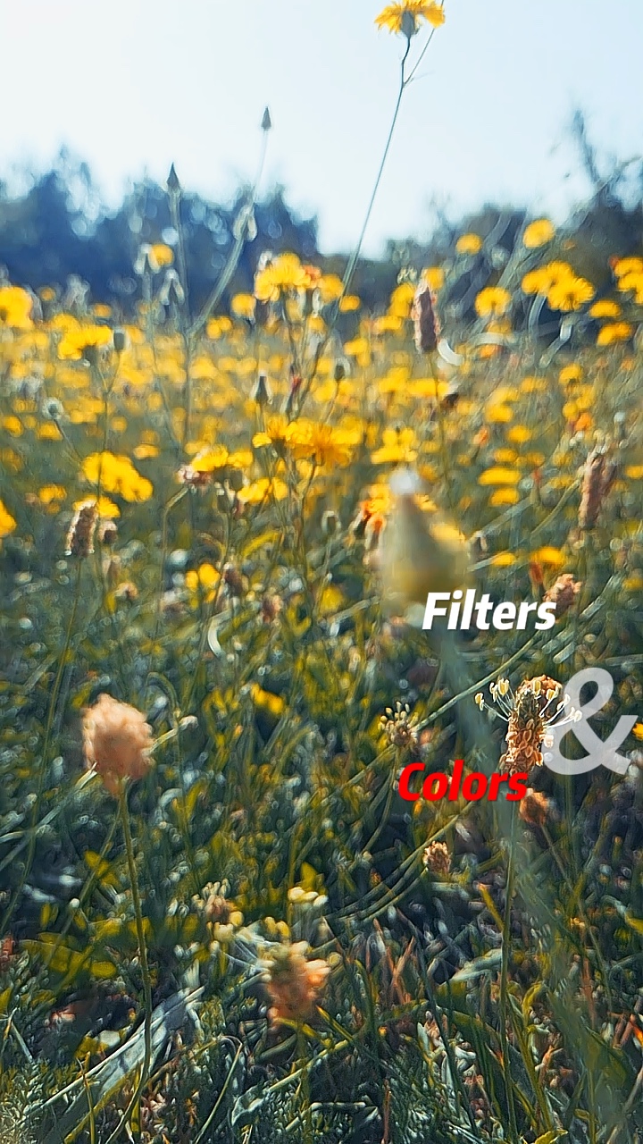 Différents filtres 