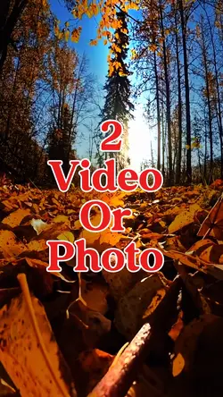2 video or photo 