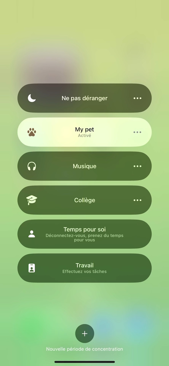 My pet, my cat ❤️‍🩹