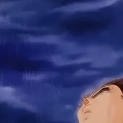 Vegeta rain