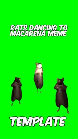 Rats Macarena 