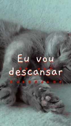 Pet dormindo.